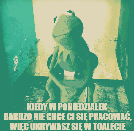 Żaba ukrywająca się w toalecie